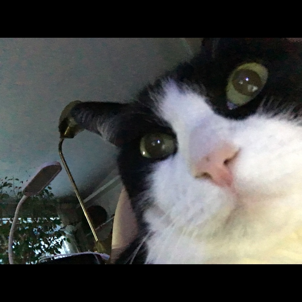 Meet your Posher, Emma